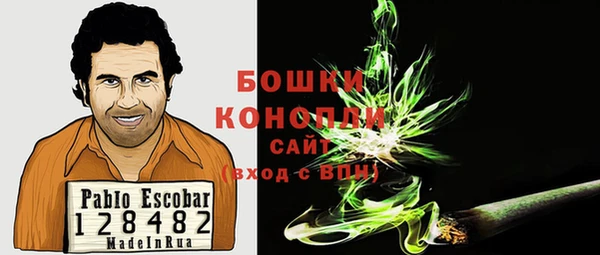 крисы Корсаков