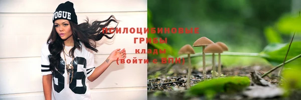 хмурый Костерёво