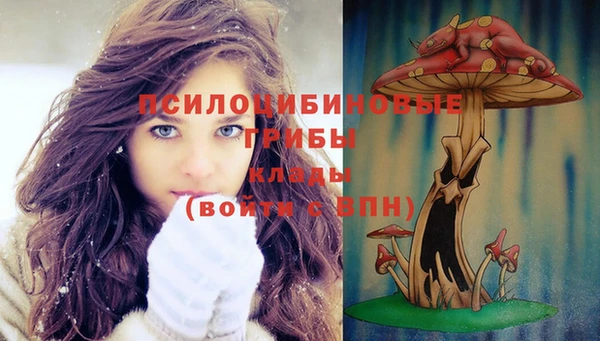 ешки Коряжма