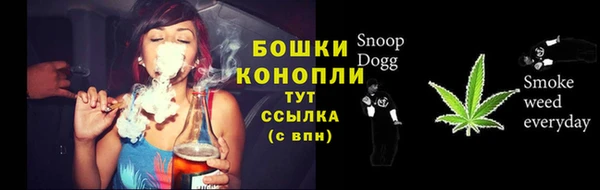 хмурый Костерёво