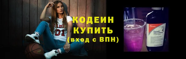крисы Корсаков