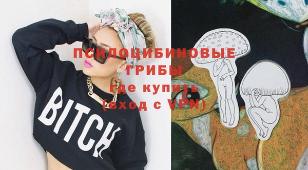 хмурый Костерёво