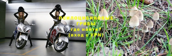 ешки Коряжма