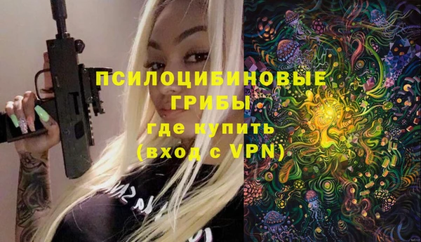 хмурый Костерёво