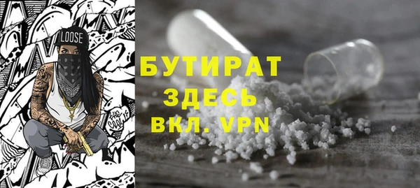 крисы Корсаков
