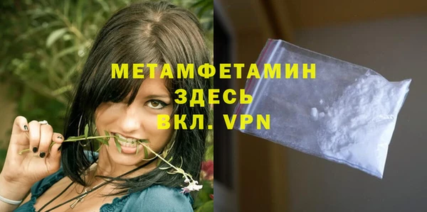 крисы Корсаков
