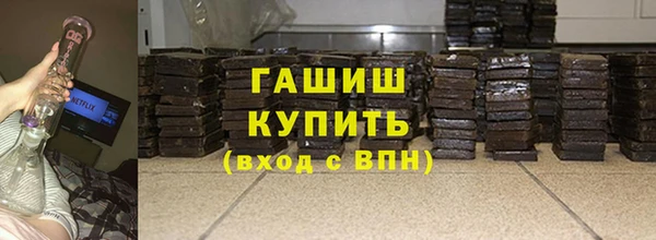 крисы Корсаков