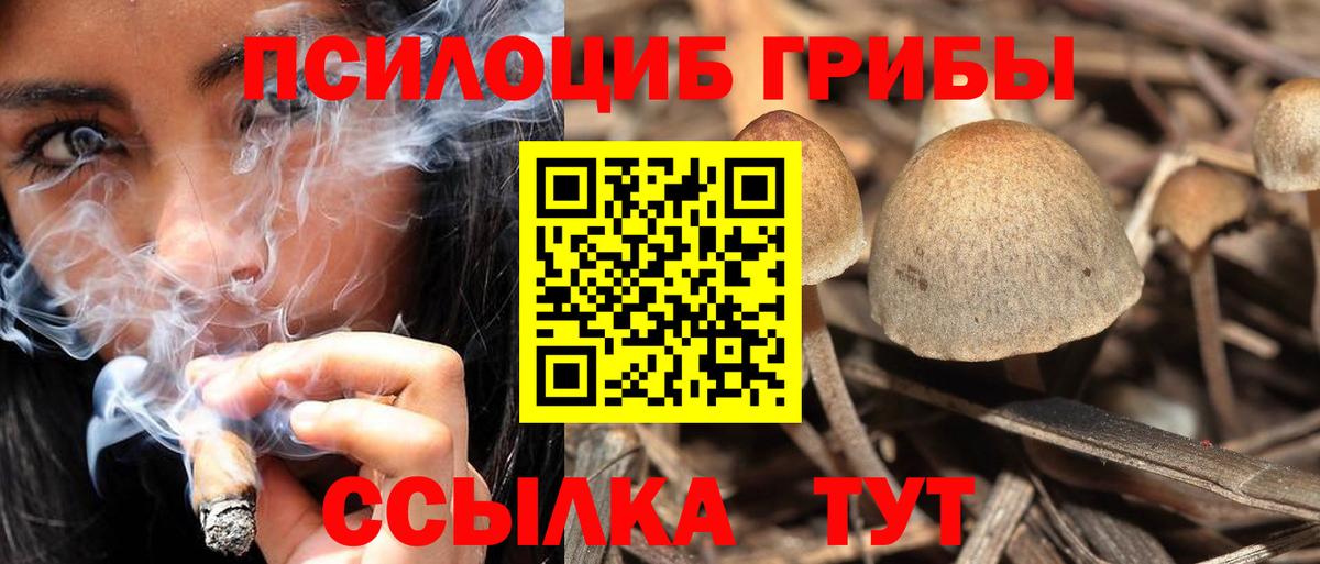 Киреевск  Псилоцибиновые грибы Psilocybine cubensis  наркошоп  Вход с VPN 