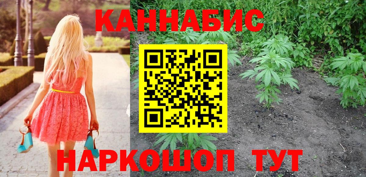 Марихуана планчик  Каннабис план  Бошки марихуана SATIVA & INDICA  Вход с VPN  Киреевск 